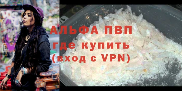 мдпв Верея