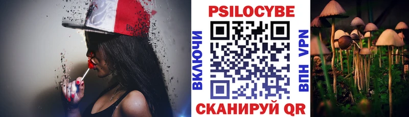 кракен сайт  дарк нет какой сайт  Галлюциногенные грибы прущие грибы  купить наркотик  Дегтярск 